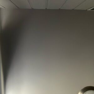 Meet your Posher, Korina